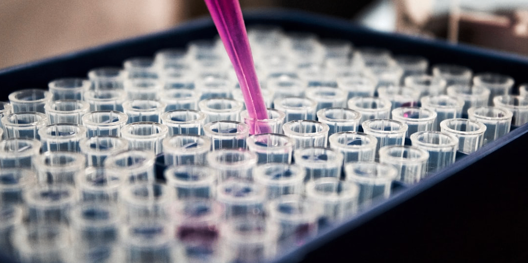 Rappresentazione visiva dell'articolo: Giornata mondiale della salute